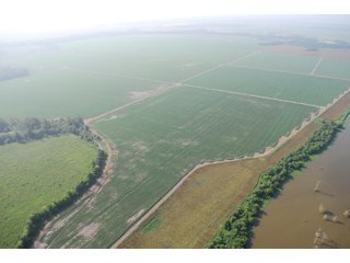 Property photo 12 - MID-DELTA REGION PRODUCTIVE CROPLAND AUCTION - 4,783+/- ACRES OFFERED IN 10 TRACTS
