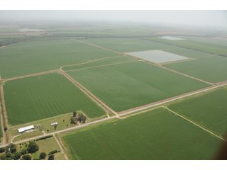 Property photo 11 - MID-DELTA REGION PRODUCTIVE CROPLAND AUCTION - 4,783+/- ACRES OFFERED IN 10 TRACTS