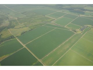 Property photo 10 - MID-DELTA REGION PRODUCTIVE CROPLAND AUCTION - 4,783+/- ACRES OFFERED IN 10 TRACTS