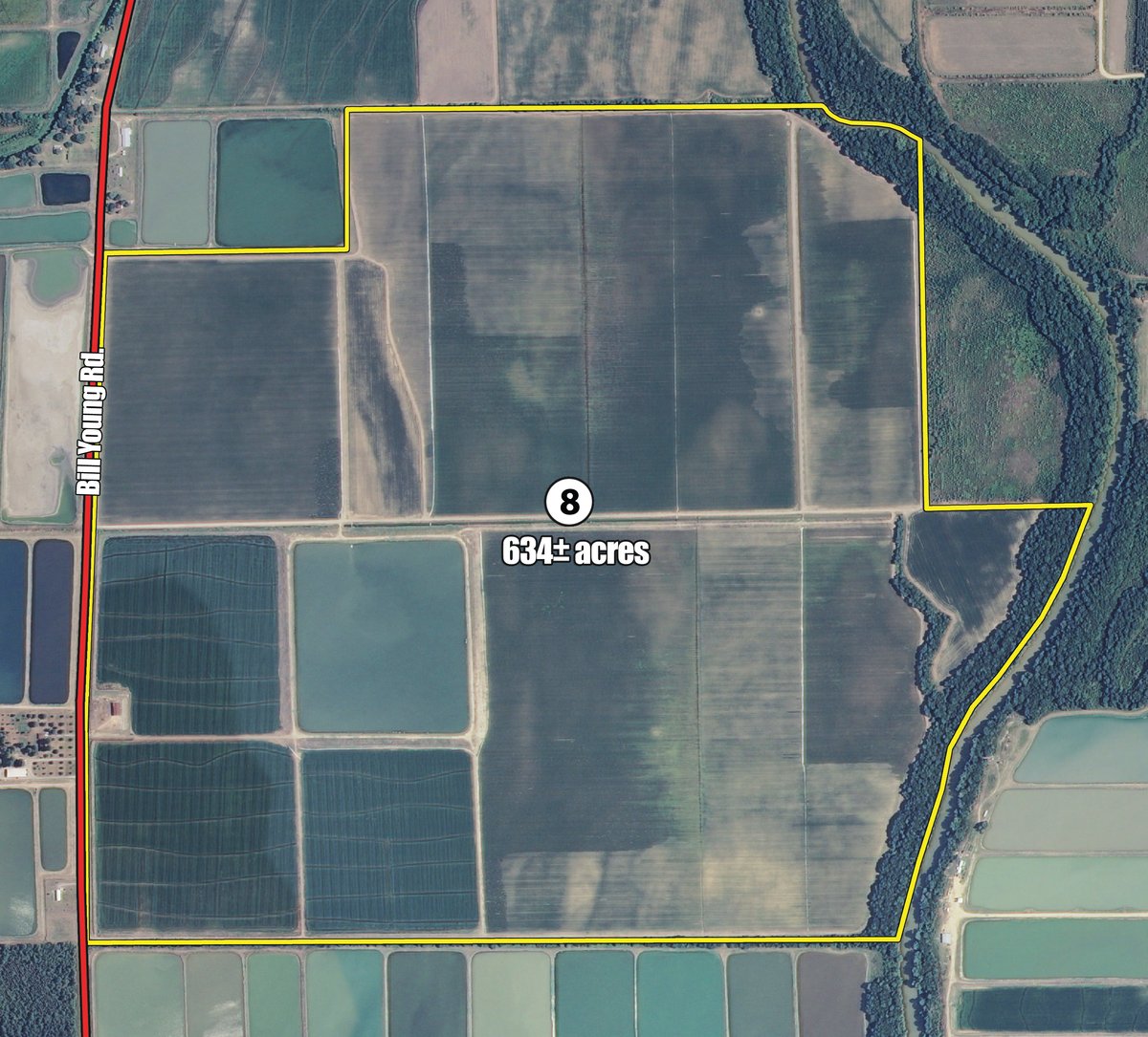 Tract 8 - MID-DELTA REGION PRODUCTIVE CROPLAND AUCTION - 4,783+/- ACRES OFFERED IN 10 TRACTS