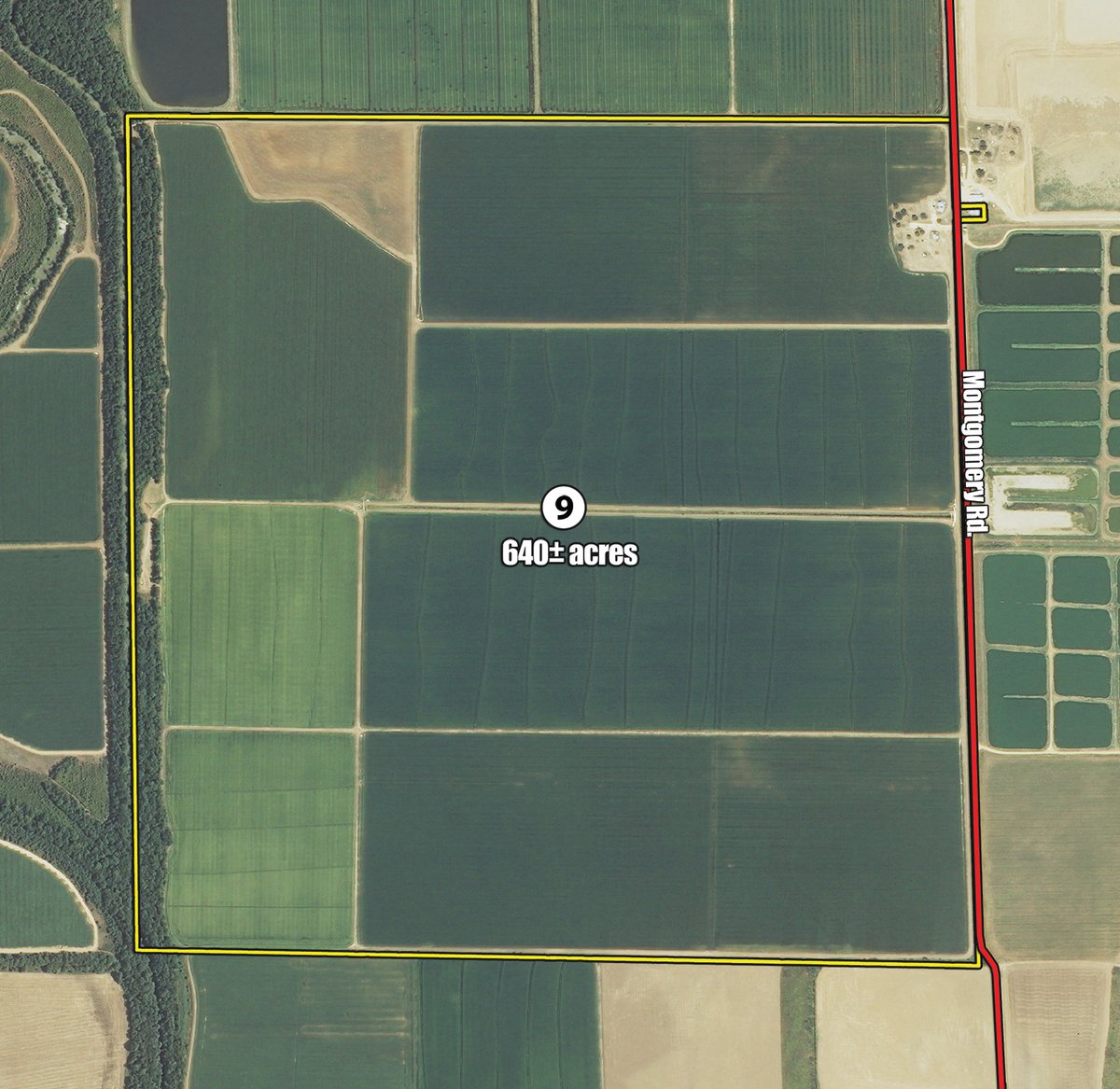 Tract 9 - MID-DELTA REGION PRODUCTIVE CROPLAND AUCTION - 4,783+/- ACRES OFFERED IN 10 TRACTS