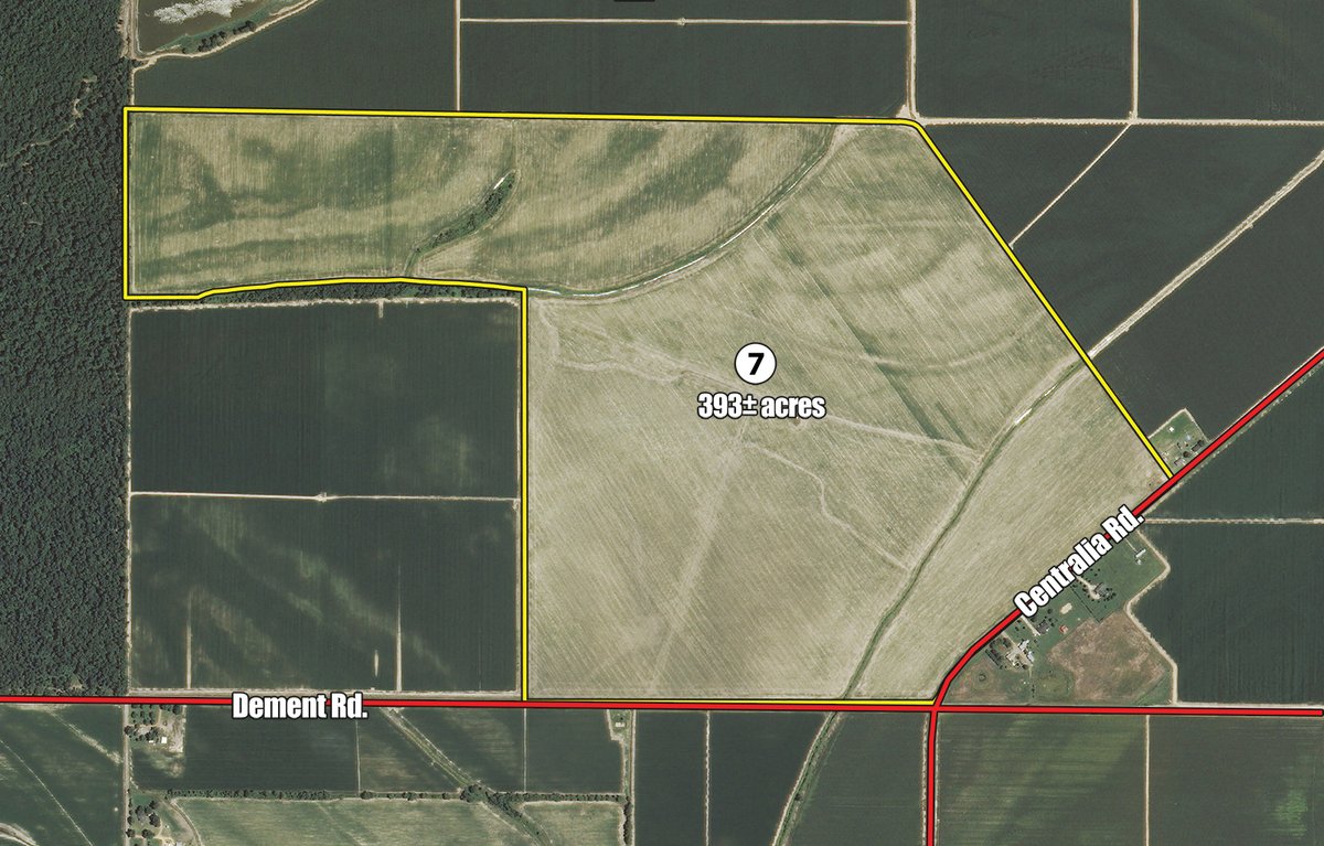 Tract 7 - MID-DELTA REGION PRODUCTIVE CROPLAND AUCTION - 4,783+/- ACRES OFFERED IN 10 TRACTS