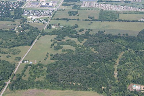 Property photo 6 - LAND AUCTION, 80+/- Acres offered in 5 Tracts AUCTION CANCELLED, PROPERTY SOLD PRIOR TO AUCTION