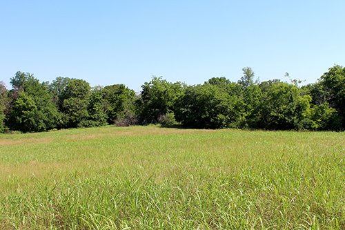 Property photo 1 - LAND AUCTION, 80+/- Acres offered in 5 Tracts AUCTION CANCELLED, PROPERTY SOLD PRIOR TO AUCTION