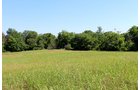 Property photo 1 - LAND AUCTION, 80+/- Acres offered in 5 Tracts AUCTION CANCELLED, PROPERTY SOLD PRIOR TO AUCTION