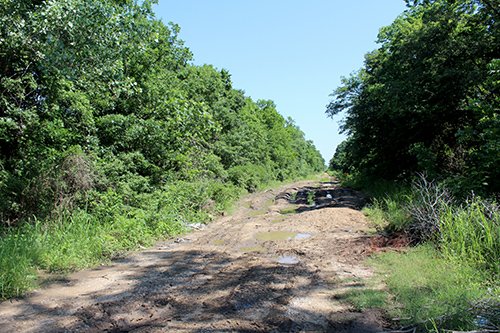 Property photo 2 - LAND AUCTION, 80+/- Acres offered in 5 Tracts AUCTION CANCELLED, PROPERTY SOLD PRIOR TO AUCTION