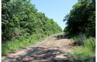 Property photo 2 - LAND AUCTION, 80+/- Acres offered in 5 Tracts AUCTION CANCELLED, PROPERTY SOLD PRIOR TO AUCTION