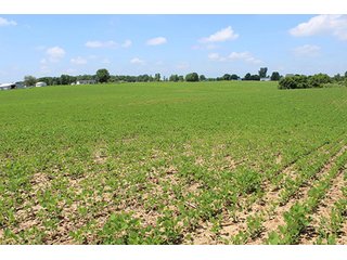Property photo 1 - REAL ESTATE AUCTION, 21.98+/- Acres offered as 1 Tract