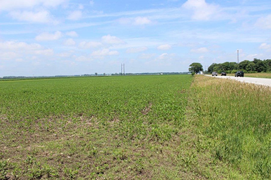 REAL ESTATE AUCTION, 138.17+/- Acres offered in 3 Tracts