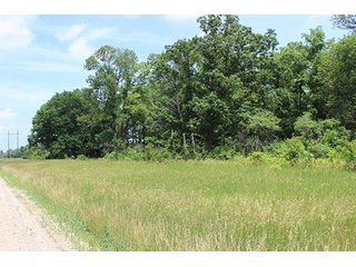 Property photo 3 - REAL ESTATE AUCTION, 138.17+/- Acres offered in 3 Tracts