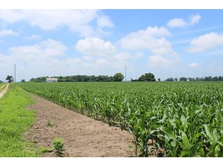 Property photo 2 - REAL ESTATE AUCTION, 138.17+/- Acres offered in 3 Tracts