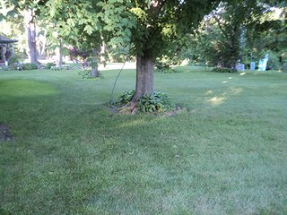 Property photo 6 - REAL ESTATE & PERSONAL PROPERTY AUCTION