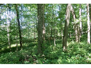 Tract 1 - REAL ESTATE & PERSONAL PROPERTY AUCTION2 AUCTIONS, 2 DATES