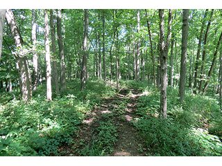 Tract 1 - REAL ESTATE & PERSONAL PROPERTY AUCTION2 AUCTIONS, 2 DATES
