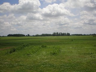 Farm 1-Tract 2 - REAL ESTATE AUCTION, 294+/- Acres - 3 Farms & 7 Tracts
