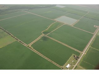 Tract 9 - ARKANSAS LAND AUCTION, 1274+/- Acres offered in 2 Tracts
