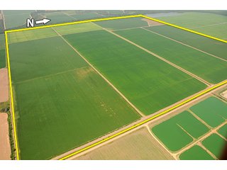 Tract 8 - ARKANSAS LAND AUCTION, 1274+/- Acres offered in 2 Tracts