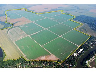 Tract 10 - LOUISIANA LAND AUCTION, 1152+/- Acres offered in 1 Tract