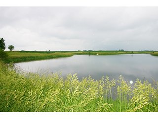 Tract 4 - FARM LAND AUCTION, 419+/- Acres offered in 6 Tracts