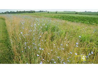 Tract 4 - OHIO REAL ESTATE AUCTION, 198+/- Acres offered in 6 Tracts