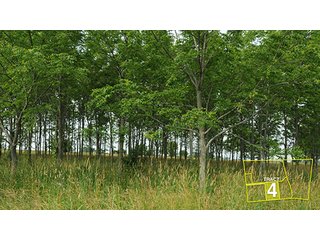 Tract 4 - OHIO REAL ESTATE AUCTION, 198+/- Acres offered in 6 Tracts