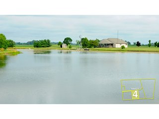 Tract 4 - OHIO REAL ESTATE AUCTION, 198+/- Acres offered in 6 Tracts