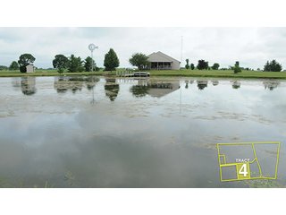 Tract 4 - OHIO REAL ESTATE AUCTION, 198+/- Acres offered in 6 Tracts