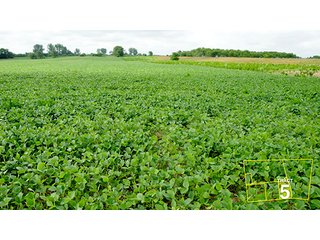Tract 5 - OHIO REAL ESTATE AUCTION, 198+/- Acres offered in 6 Tracts