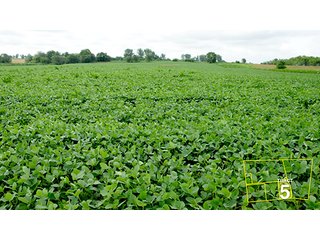 Tract 5 - OHIO REAL ESTATE AUCTION, 198+/- Acres offered in 6 Tracts