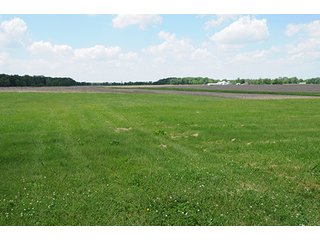 Property photo 32 - LAND AUCTION, 321+/- Acres offered in 7 Tracts