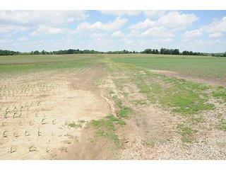Property photo 12 - LAND AUCTION, 321+/- Acres offered in 7 Tracts