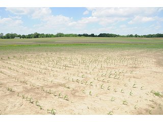 Property photo 41 - LAND AUCTION, 321+/- Acres offered in 7 Tracts