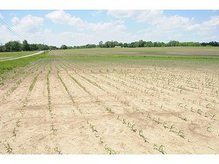 Property photo 38 - LAND AUCTION, 321+/- Acres offered in 7 Tracts