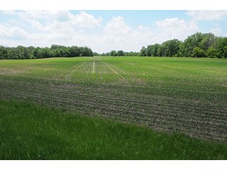 Property photo 42 - LAND AUCTION, 321+/- Acres offered in 7 Tracts