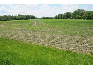 Property photo 24 - LAND AUCTION, 321+/- Acres offered in 7 Tracts