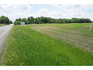 Property photo 34 - LAND AUCTION, 321+/- Acres offered in 7 Tracts