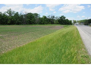 Property photo 40 - LAND AUCTION, 321+/- Acres offered in 7 Tracts