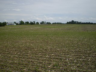 Property photo 3 - LAND AUCTION, 321+/- Acres offered in 7 Tracts