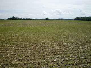 Property photo 29 - LAND AUCTION, 321+/- Acres offered in 7 Tracts