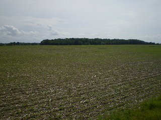 Property photo 46 - LAND AUCTION, 321+/- Acres offered in 7 Tracts