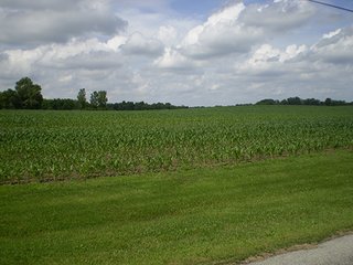 Property photo 5 - LAND AUCTION, 321+/- Acres offered in 7 Tracts