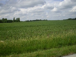 Property photo 28 - LAND AUCTION, 321+/- Acres offered in 7 Tracts