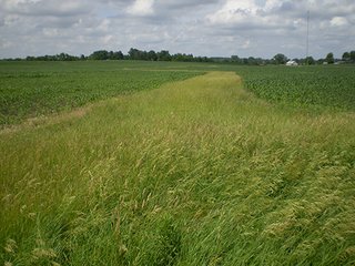 Property photo 1 - LAND AUCTION, 321+/- Acres offered in 7 Tracts