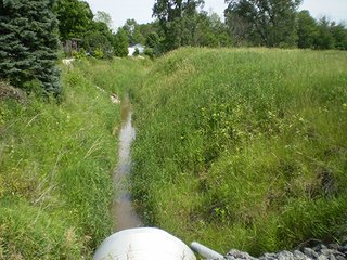 Property photo 11 - LAND AUCTION, 321+/- Acres offered in 7 Tracts