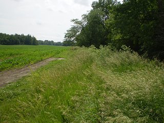 Property photo 20 - LAND AUCTION, 321+/- Acres offered in 7 Tracts