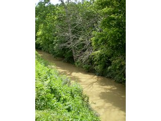 Property photo 23 - LAND AUCTION, 321+/- Acres offered in 7 Tracts