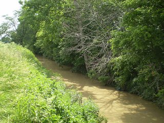 Property photo 17 - LAND AUCTION, 321+/- Acres offered in 7 Tracts