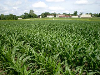 Property photo 37 - LAND AUCTION, 321+/- Acres offered in 7 Tracts