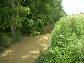 Property photo 6 - LAND AUCTION, 321+/- Acres offered in 7 Tracts