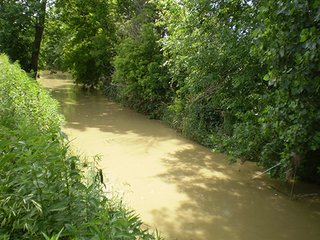 Property photo 16 - LAND AUCTION, 321+/- Acres offered in 7 Tracts